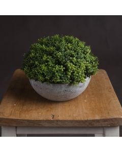 Small Hebe Globe Pot