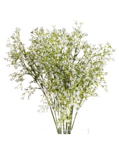 White Gypsophila Spray