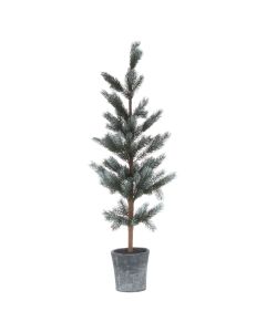 Christmas Fir Tree In Stone Pot