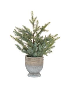 Garda Pine Tree In Stone Pot