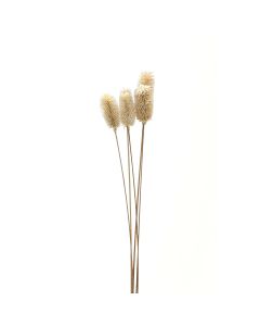 Bouquet Of Dried Tall Thistle