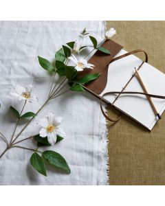 White Florida Clematis