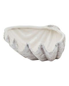 Siren Medium Ceramic Shell Bowl