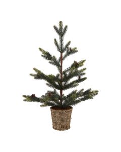 Medium Spruce Tree With Wicker Basket