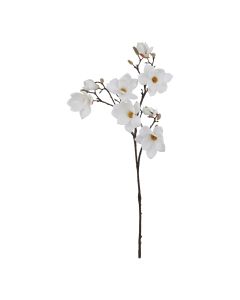 The Natural Garden Collection White Magnolia Stem