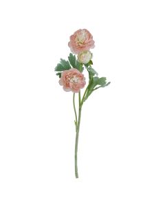 The Natural Garden Collection Pink Ranunculus