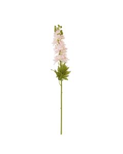 The Natural Garden Collection Pink Elatum Delphinium