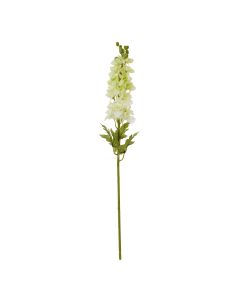 The Natural Garden Collection White Elatum Delphinium