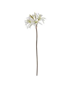 The Natural Garden Collection White Nerine Lily Stem