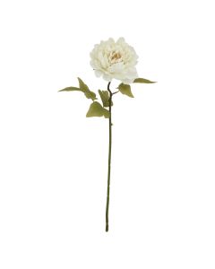 The Natural Garden Collection White Peony