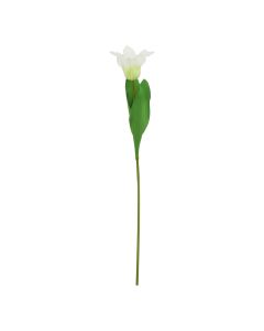 The Natural Garden Collection White Parrot Tulip