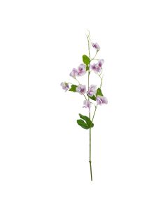 The Natural Garden Collection Purple Sweetpea Stem