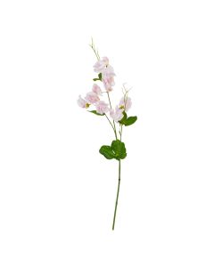 The Natural Garden Collection Pale Pink Sweetpea Stem