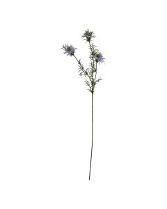 The Natural Garden Collection Purple Nigella Love In A Mist