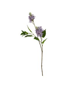 The Natural Garden Collection Purple Lilac Stem