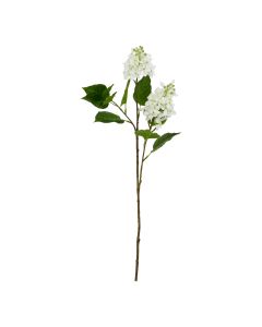 The Natural Garden Collection White Lilac Stem