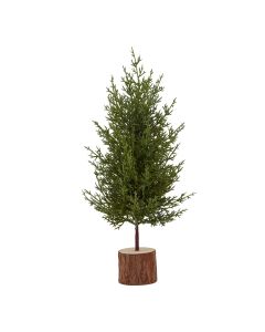 Small Green Fir Tree In Wood Log