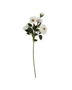 The Natural Garden Collection White Hedge Rose Stem